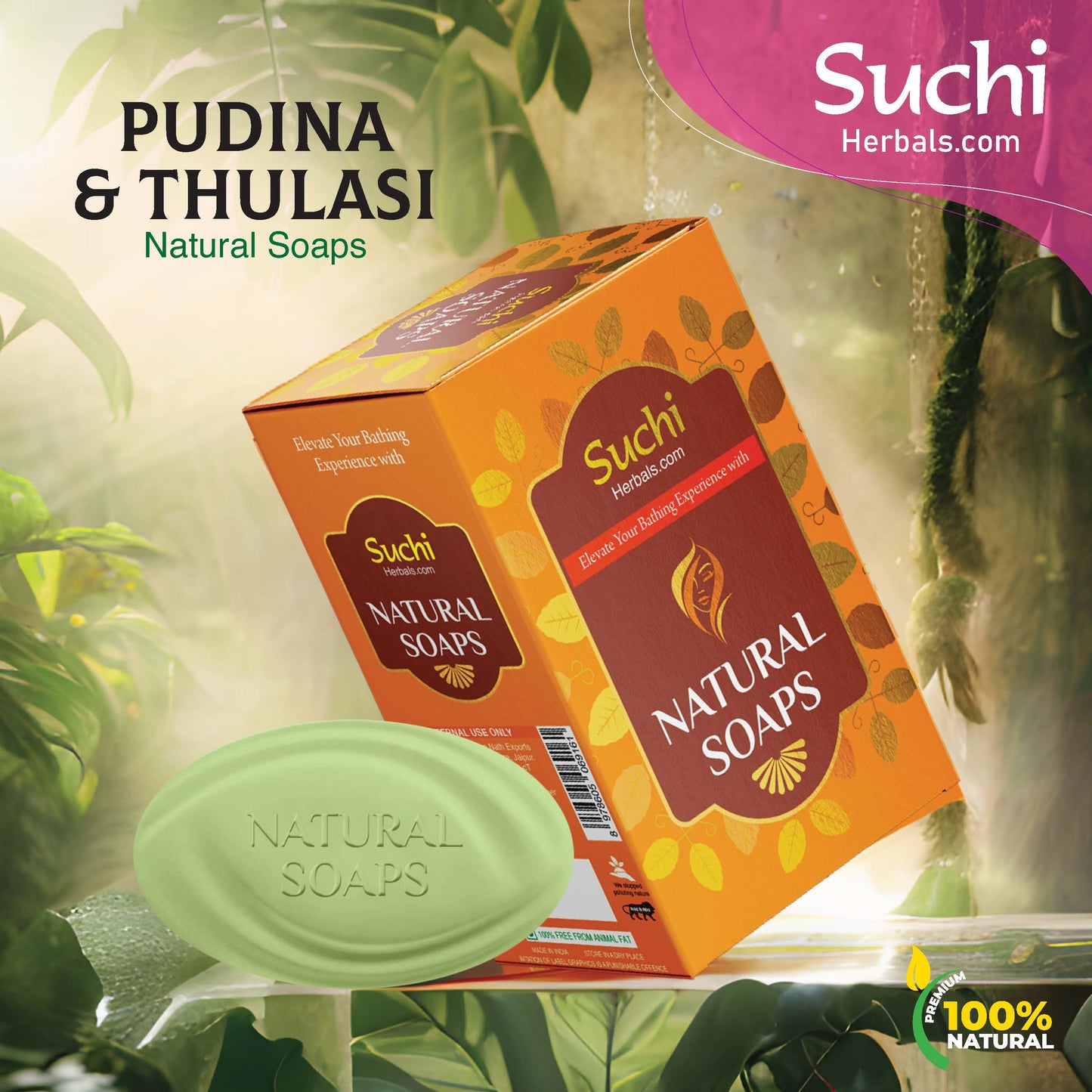 Pudina & Tulasi Soap